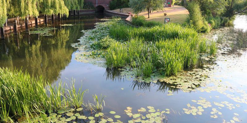 Local image of Stratford on Avon